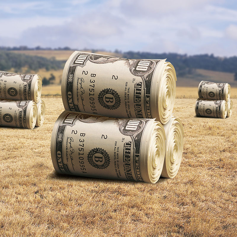 银行贷款买车怎么贷划算?从这几个方面来分析